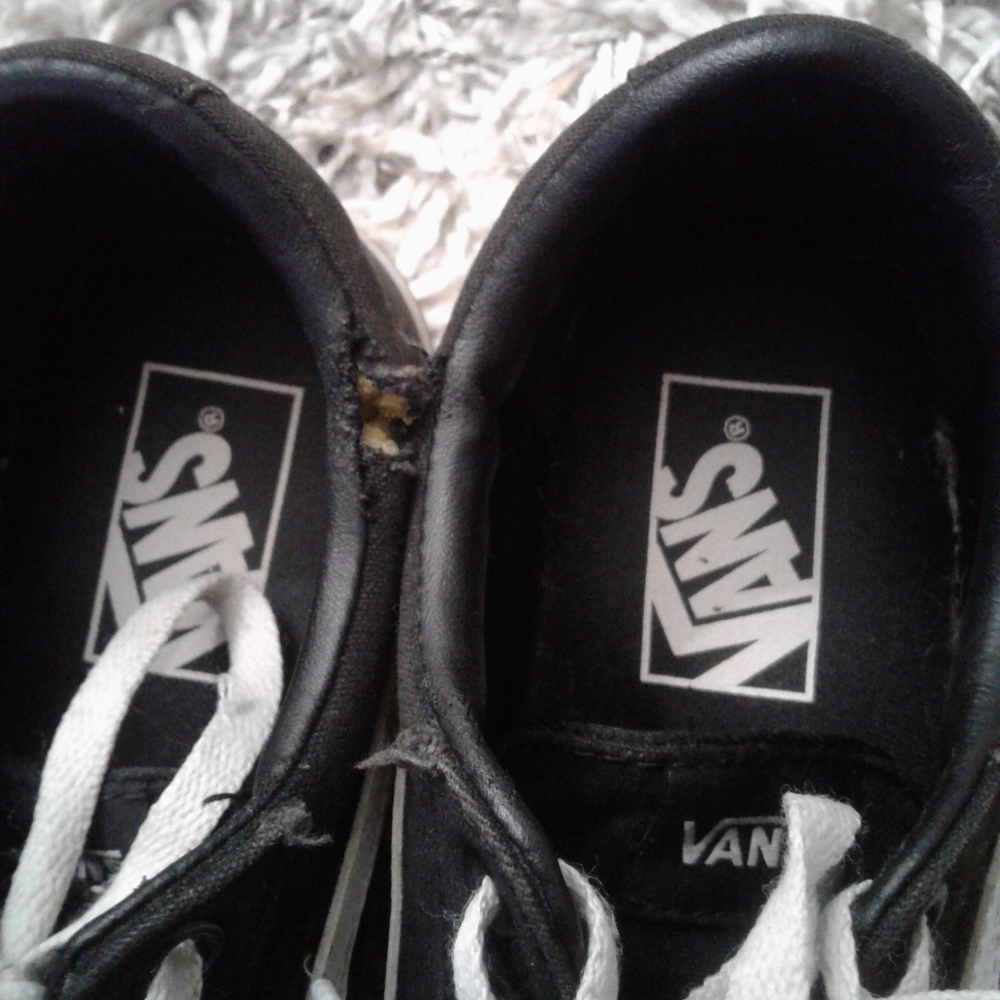 Vans - Picture 7 of 12